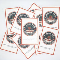Joshua Tree Legacy 10-Piece Postcard Set