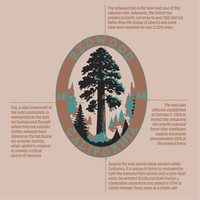 Redwood Pennant