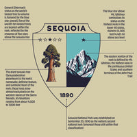 Sequoia Pennant